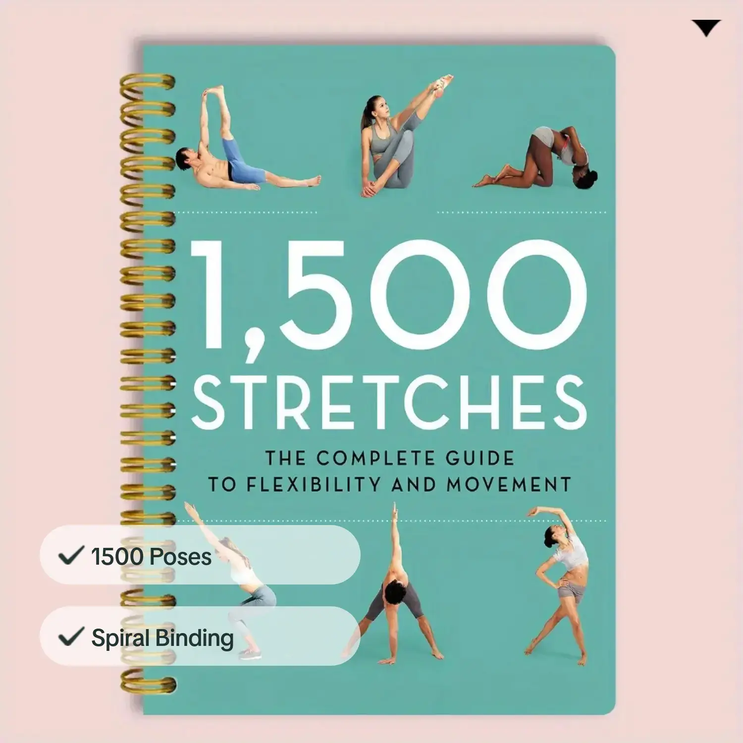 Yoga Postures & Breathing Tech – Yoga Fitness Journal recenzja i cena